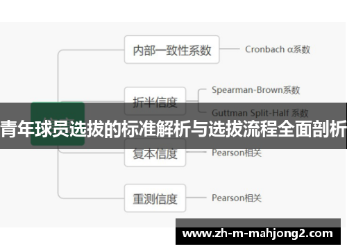 青年球员选拔的标准解析与选拔流程全面剖析