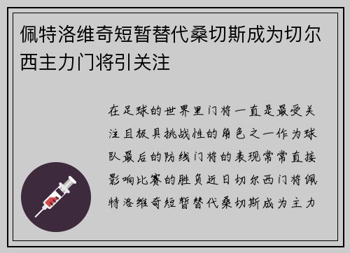 佩特洛维奇短暂替代桑切斯成为切尔西主力门将引关注 佩特洛维奇短暂替代桑切斯成为切尔西主力门将引关注